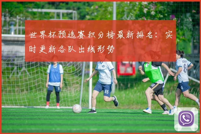 世界杯预选赛积分榜最新排名：实时更新各队出线形势